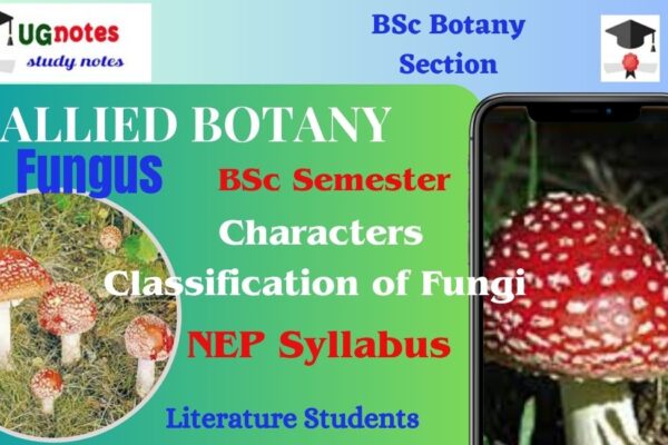 what is fungi in biology, skin fungus spots,4 types of fungi and examples,10 characteristics of fungi what is fungi class 8